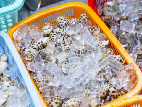 Ốc Hương