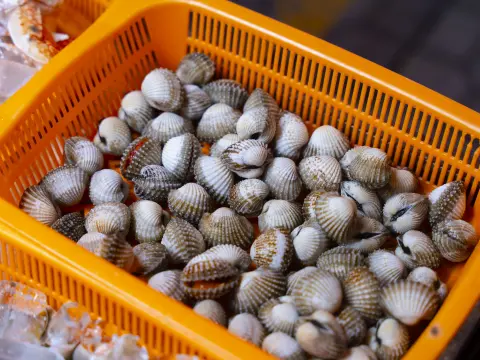 Sò Huyết