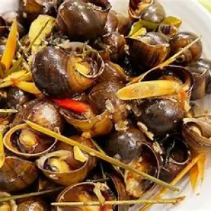 Ốc Lát Xào Sả Ớt
