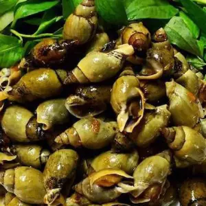Ốc Cà Na Sốt Bơ Tỏi