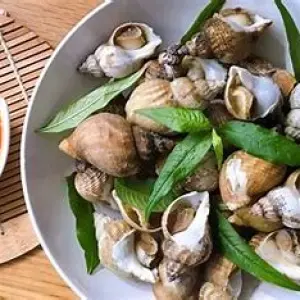 Ốc BuLot Nướng Nước Mắm